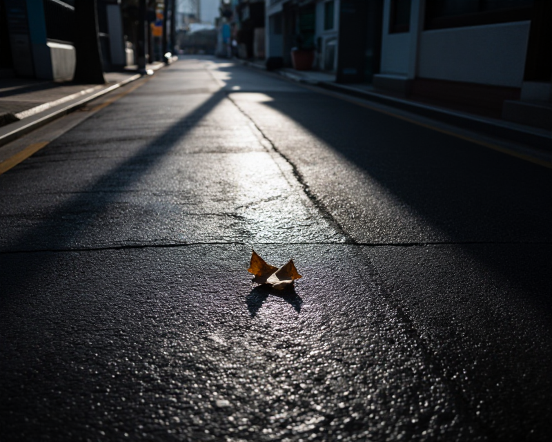 Autumn Morning in Seoul