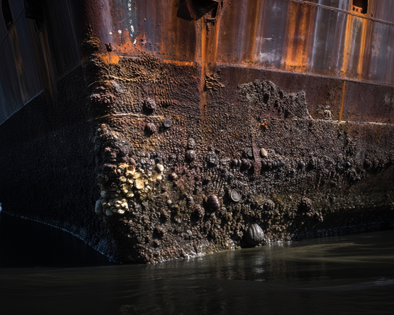 Strait of Hormuz Biofouling Concept